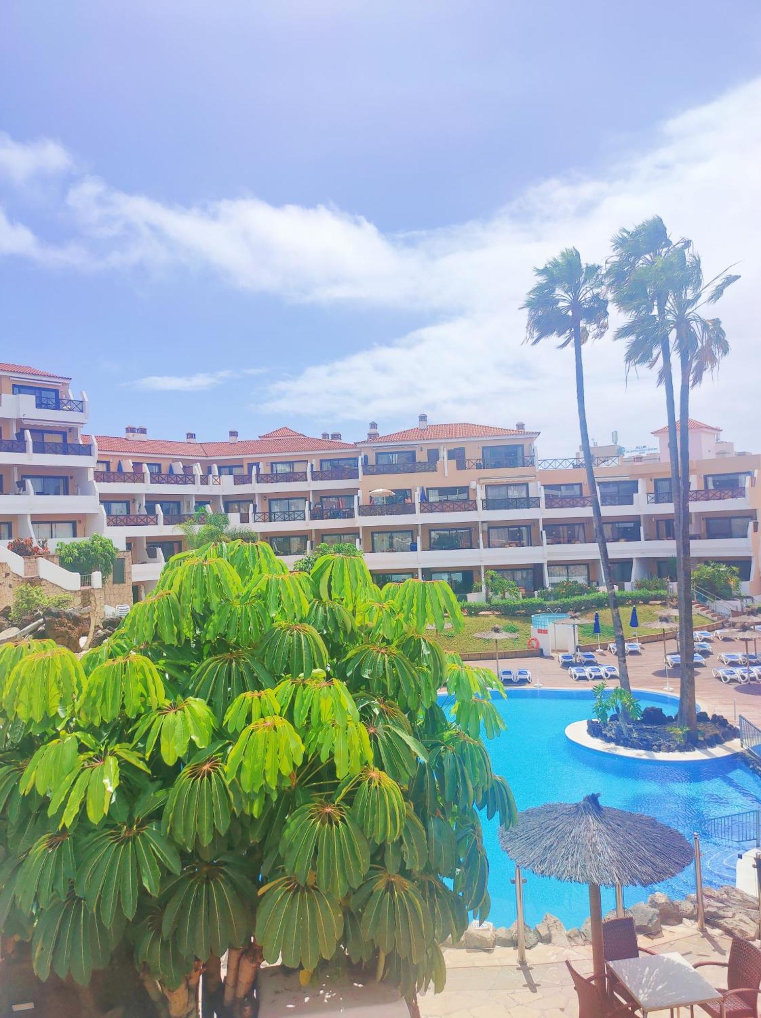 Lovely Apartment Top Views, Heated Pool, Great Location ซานมิเกลเดียโบนา ภายนอก รูปภาพ