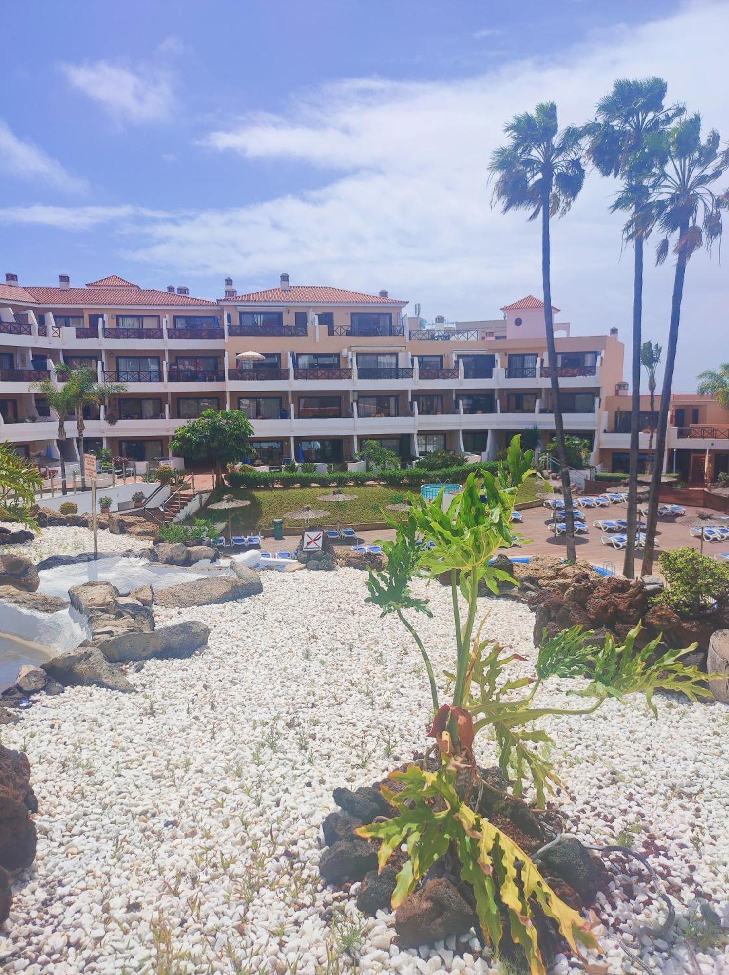 Lovely Apartment Top Views, Heated Pool, Great Location ซานมิเกลเดียโบนา ภายนอก รูปภาพ